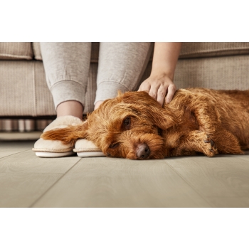 Panele winylowe COREtec Naturals 1500+++ FLORA 50 LVRE 2554